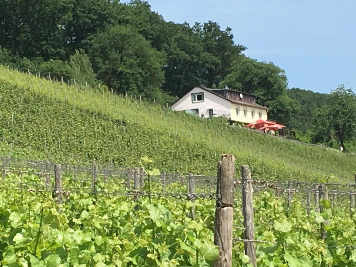 Das Rebenhaus Ruedesheim am Rhein Ngoại thất bức ảnh