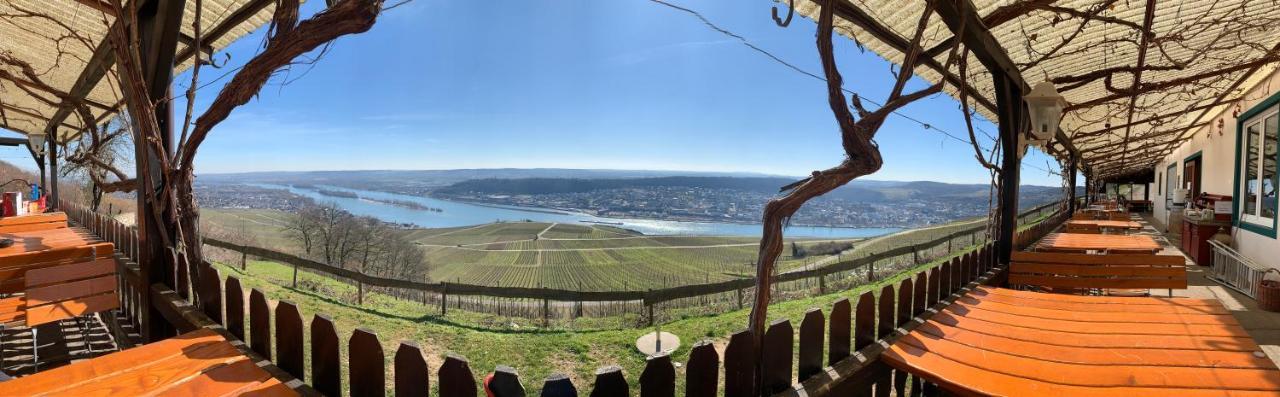 Das Rebenhaus Ruedesheim am Rhein Ngoại thất bức ảnh