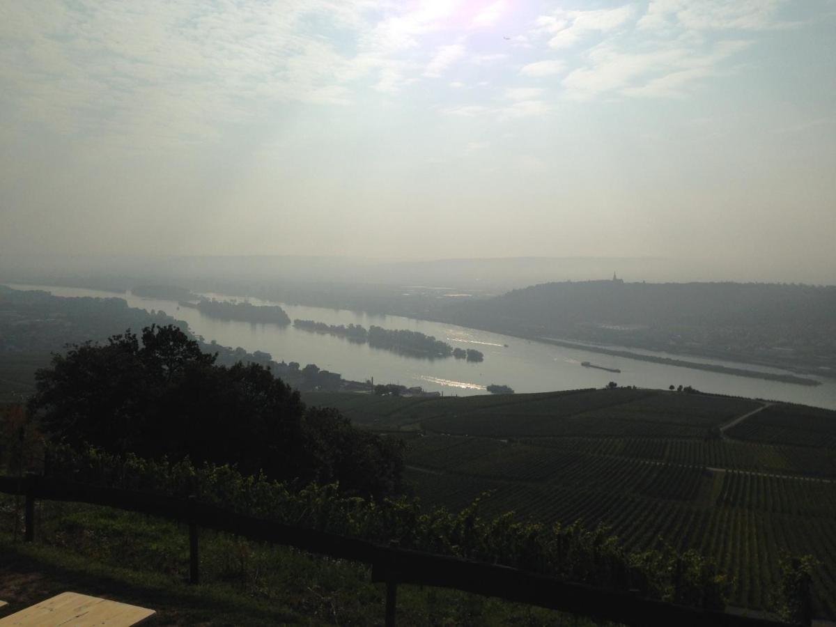 Das Rebenhaus Ruedesheim am Rhein Ngoại thất bức ảnh