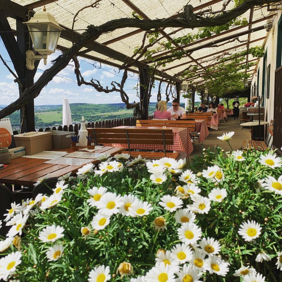 Das Rebenhaus Ruedesheim am Rhein Ngoại thất bức ảnh