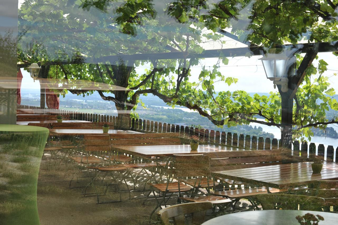 Das Rebenhaus Ruedesheim am Rhein Ngoại thất bức ảnh